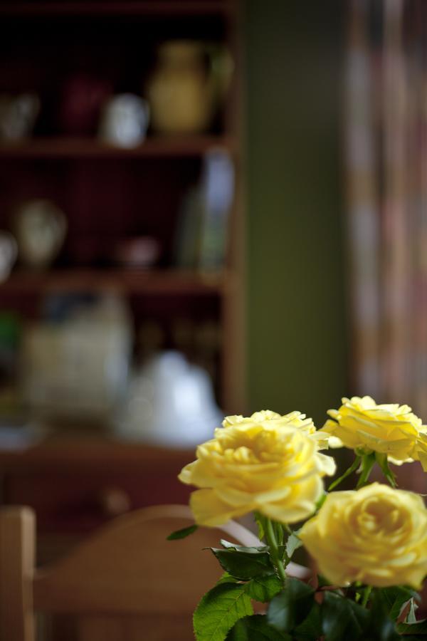 North Walk House Bed & Breakfast ลินตัน ภายนอก รูปภาพ